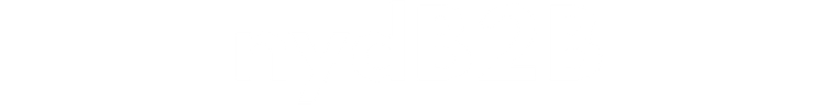 nydB2B